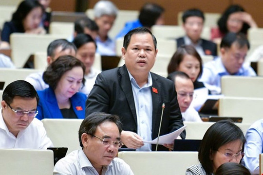 Đại biểu Quốc hội: Không để doanh nghiệp bỏ được 1 giấy phép nhưng lại phải tiếp nhiều đoàn kiểm tra