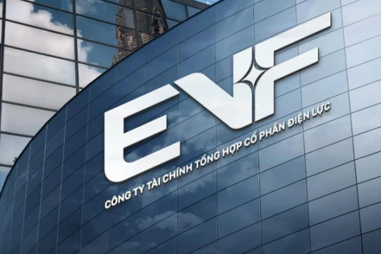 EVF trình cổ đông phương án chào bán tối đa 85 triệu cổ phiếu, nâng vốn điều lệ lên hơn 8.455 tỷ đồng