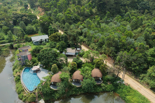 Yêu cầu kiểm tra, xác minh phản ánh villa, homestay mọc trong rừng phòng hộ Sóc Sơn