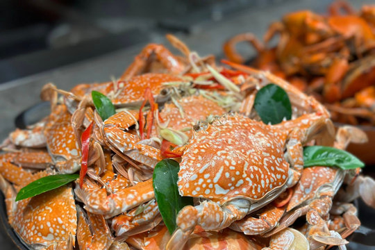 'Lộc biển' của Việt Nam khiến người Mỹ mê mẩn, một mình ôm trọn thị trường