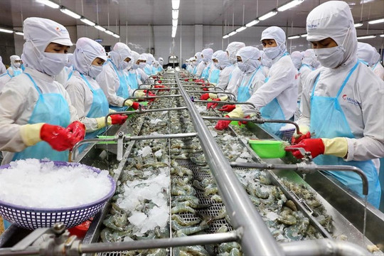 Thủy sản Minh Phú (MPC) báo lãi tăng hơn 127% trong nửa đầu năm