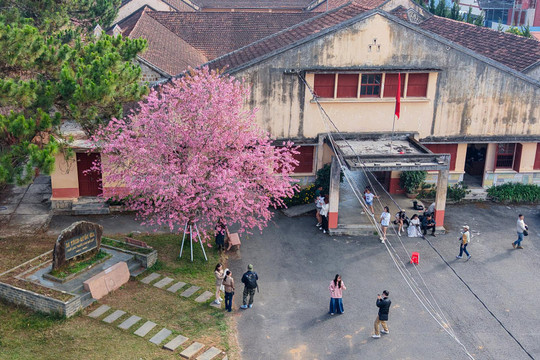 Nhà lao từng giam giữ hơn 600 thiếu nhi, chiến sĩ cách mạng nhỏ tuổi, nay là Di tích Quốc gia giữa vùng đất thơ mộng bậc nhất Việt Nam