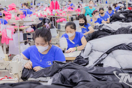 TNG: Doanh nghiệp dệt may gần 20.000 lao động đang đối mặt nợ vay lớn và rủi ro Mỹ áp thuế cao nhất