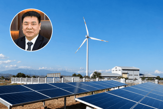 Nhóm Phó Chủ tịch NTL chi thêm tiền gom TTA, sở hữu vượt 19% vốn