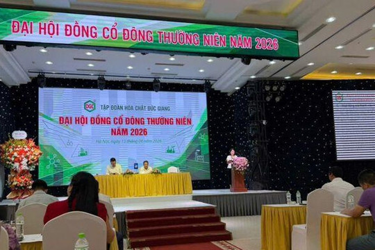 Cổ đông Hóa chất Đức Giang (DGC): Ban Kiểm soát chỉ là cái bóng của Ban quản trị