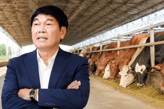 Doanh nghiệp của tỷ phú Trần Đình Long bắt tay Thái Lan, nâng nguồn cung bò thêm 36.000 con