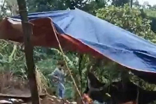 Nam giáo viên khai quá trình sát hại, phi tang thi thể nữ nhân viên thư viện cùng trường