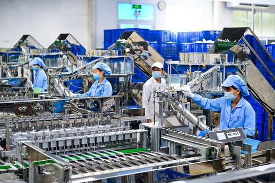 Nhập siêu hơn 20 tỷ USD: Áp lực đến từ đâu?