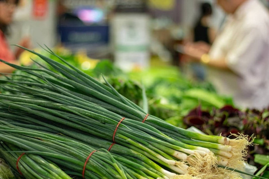 'Điểm yếu chí mạng' của rau quả Việt Nam: Gỡ nút thắt, mở khóa hàng tỷ USD