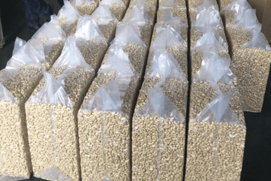 Cứ 10 kg hạt điều vào Mỹ, gần 9 kg đến từ Việt Nam