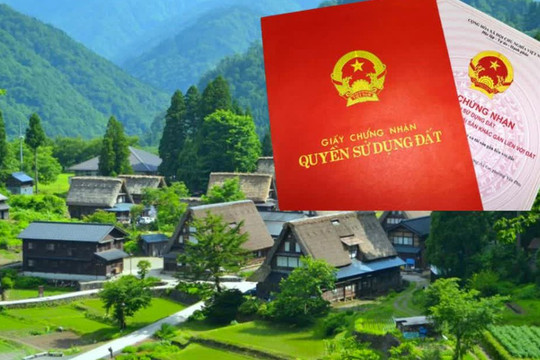 Đất sử dụng ổn định từ năm 1994 nhưng hồ sơ ghi đất ao có được cấp sổ đỏ không?