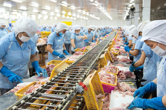 Nam Việt (ANV) đặt mục tiêu lãi trước thuế cao kỷ lục 1.400 tỷ đồng, sau nửa năm mới thực hiện được 29%