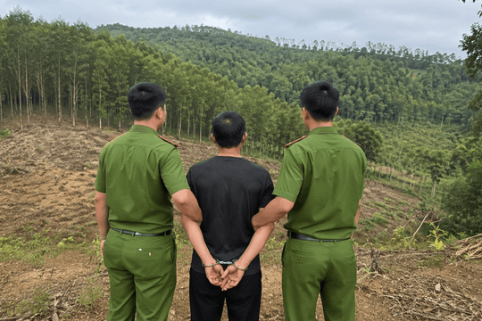 Nguyễn Văn Chung bị bắt do chiêu bán đất rừng ‘nhân bản’