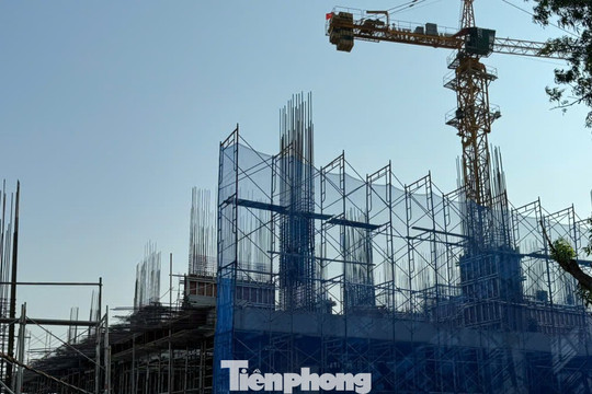Giá căn hộ ở TPHCM giảm mạnh sau sáp nhập