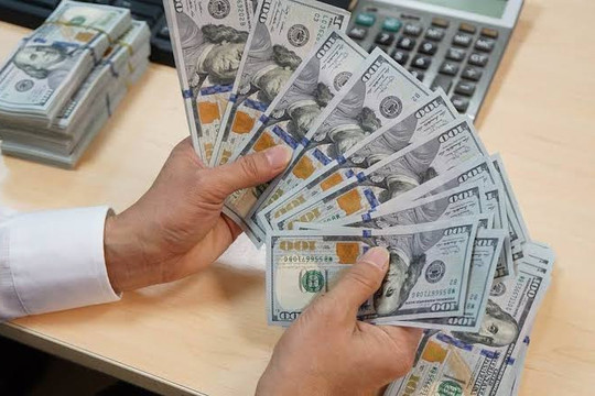 Tỷ giá hôm nay 25/8: USD đồng loạt tăng mạnh, thị trường tự do áp sát 26.000 đồng