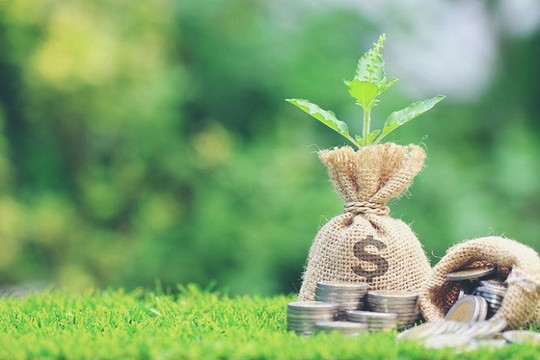 Châu Âu siết 'hàng rào xanh': Doanh nghiệp Việt chậm chuyển đổi có thể mất cả thị trường
