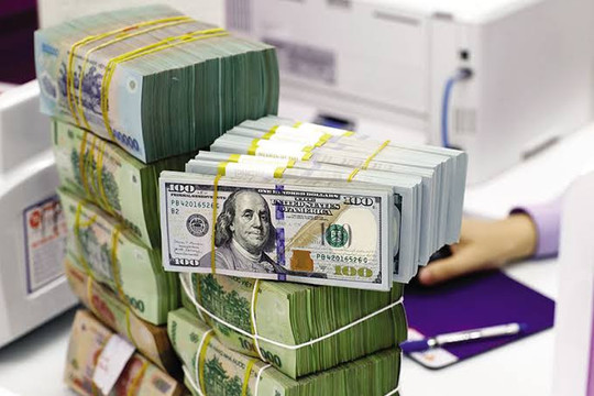 Tỷ giá USD tuần 24-28/8: USD tự do giảm 9 tuần liên tiếp