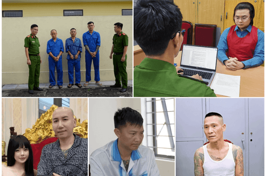 Chỉ trong tháng 8, Huấn 'Hoa Hồng', Phú Lê và loạt YouTuber, TikToker lần lượt vướng vòng lao lý