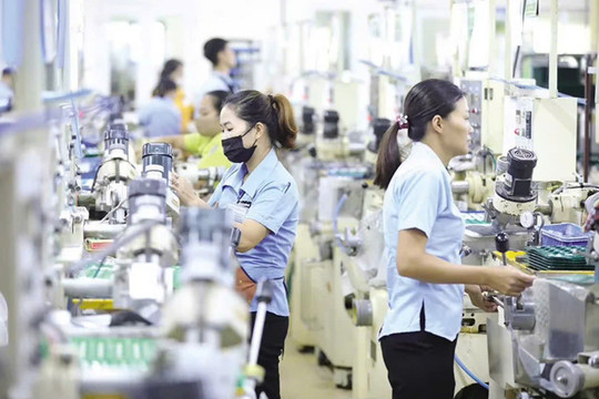 Thu nhập người Việt tăng 10,9%, nhưng một tỉnh chỉ đạt 2,58 triệu đồng/tháng