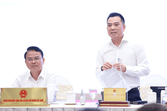 Trung Quốc vừa cấp thêm 567 mã vùng trồng, sầu riêng Việt Nam lập tức đặt mục tiêu 4 tỷ USD