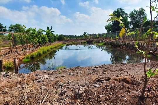 Đất ao được giao khoán từ năm 1997 có được cấp sổ đỏ?