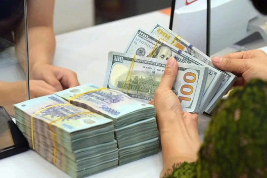Tỷ giá USD tuần 31/7-4/9: Tỷ giá trung tâm đảo chiều sau 16 tuần tăng liên tiếp