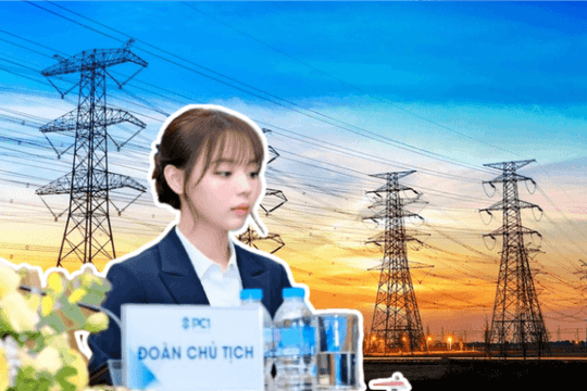 Cạnh tranh gói thầu hơn 500 tỷ của EVN, công ty do nữ chủ tịch sinh năm 1999 điều hành gây bất ngờ