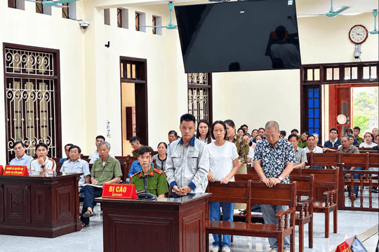 Chủ tịch Công ty CP Đầu tư AVISA lĩnh án chung thân
