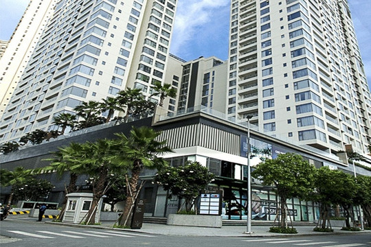 Sơn Kim Land chính thức lên tiếng liên quan việc bán 136 căn hộ cho người nước ngoài