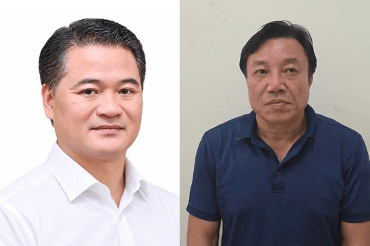 Khởi tố, bắt Giáo sư Nguyễn Huy Ngọc