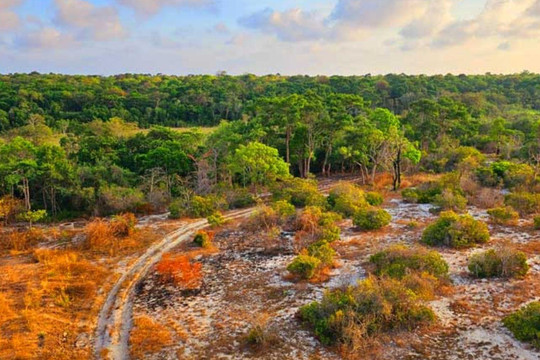 Tiềm năng phát triển du lịch nhờ dòng suối kỳ lạ chia đôi nóng lạnh: Cách Mũi Né 60km, có thể luộc chín trứng gà trong 10 phút