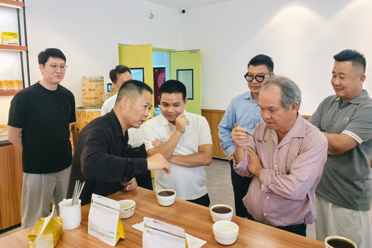Đích thân bầu Đức sang Trung Quốc tìm đầu ra cho 20.000ha cà phê HAGL, chốt thỏa thuận với đối tác có hơn 3.000 điểm bán