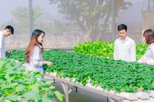 Ngành học lương tới 35 triệu đồng/tháng: Sẽ đón đầu tương lai, tốt nghiệp được trải thảm đỏ, điểm chuẩn chỉ từ 16 điểm