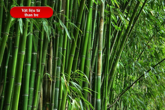 Bền hơn kin loại tới 81%, vỏ smartphone tương lai có thể được làm từ thân của loại cây có mặt khắp Việt Nam