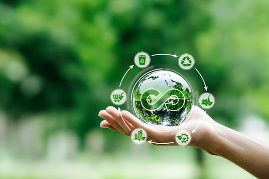 Đại diện ADB: Việt Nam cần thêm 368 tỷ USD để ứng phó biến đổi khí hậu đến năm 2040
