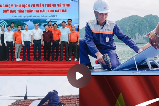 Tỷ phú Elon Musk chia sẻ 6 điểm lắp đặt Internet Starlink tại Cát Bà