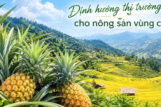 Định hướng thị trường cho nông sản vùng cao