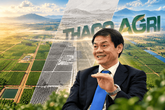 THACO AGRI nắm 94.000ha đất sau 7 năm thành lập, trung bình mỗi nhân sự giúp tỷ phú Trần Bá Dương quản lý vườn cây gần 200.000m2