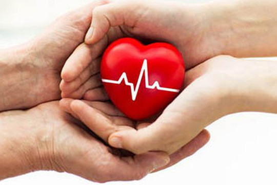 Bộ Y tế làm rõ đề xuất cho phép người dưới 18 tuổi hiến mô, tạng