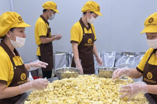 Xuất khẩu rau quả tăng tốc, siết chuẩn để giữ thị trường