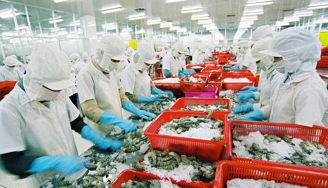 Thủy sản Nam Việt (ANV) dự chi 132 tỷ đồng trả cổ tức năm 2020 cho cổ đông