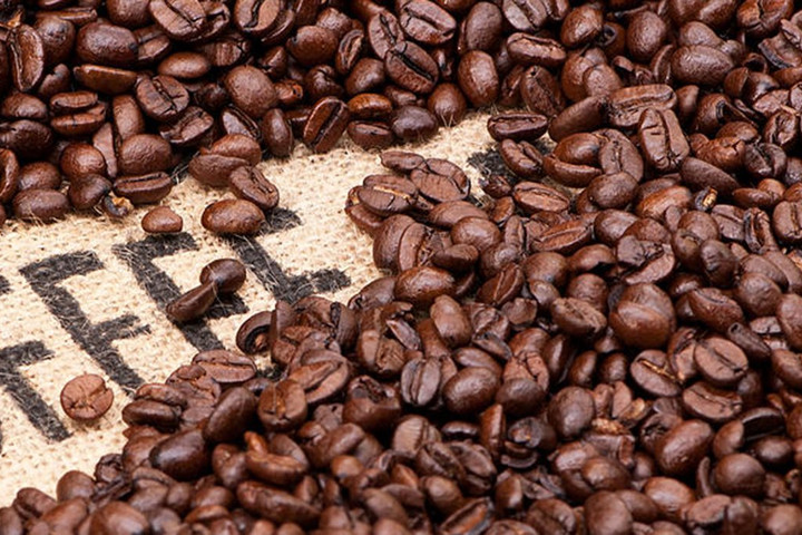Giá cà phê hôm nay 25/10: Giảm trên hai sàn thế giới