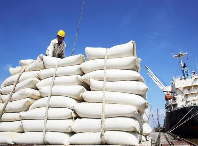 Xuất khẩu gạo sang EU tăng mạnh nhờ EVFTA