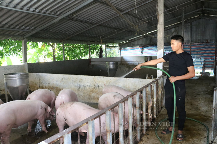 Chăn nuôi Phú Sơn (PSL) lên kế hoạch lãi năm 2022 "đi lùi" 78% so với cùng kỳ
