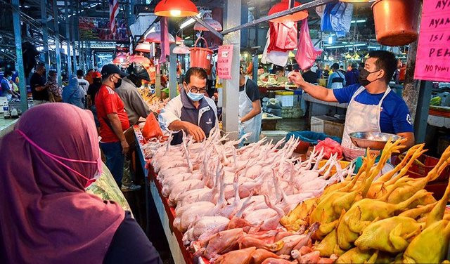 Malaysia cho phép xuất khẩu một số sản phẩm gà sang Singapore