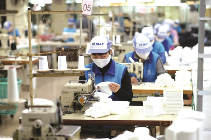 Chủ tịch Vitas Vũ Đức Giang: Doanh nghiệp dệt may phải dừng đơn hàng có nguồn gốc vải từ bông Tân Cương