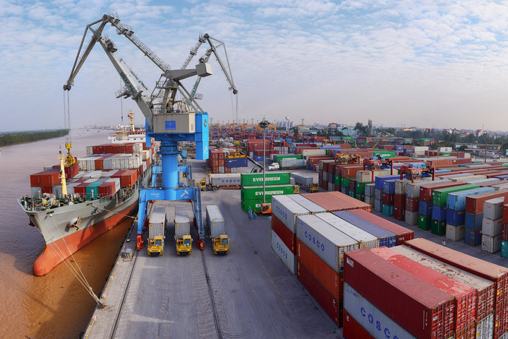 Lộ diện 2 doanh nghiệp cảng muốn mua 40 triệu cổ phiếu Viconship (VSC)