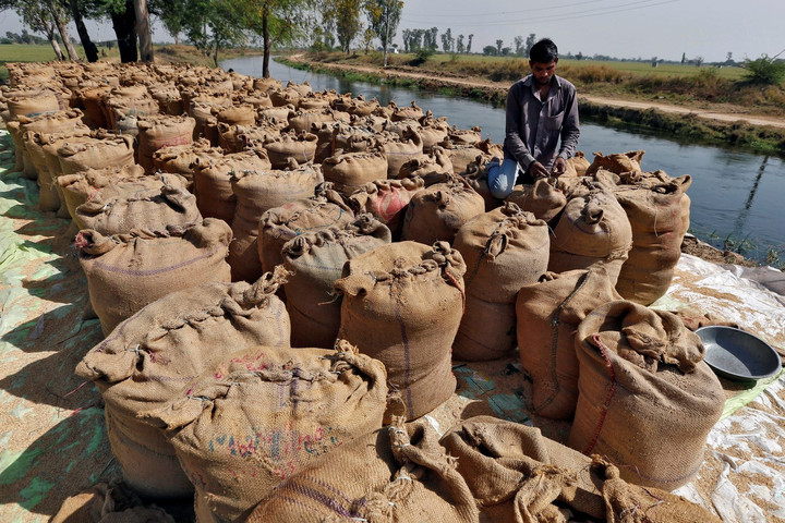 Ấn Độ xem xét xuất khẩu một số lô gạo mắc kẹt tại cảng