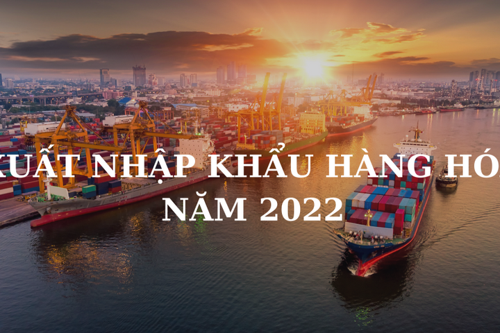 Tình hình xuất nhập khẩu hàng hóa của Việt Nam năm 2022
