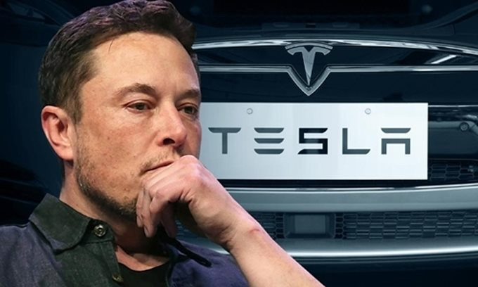 Elon Musk: Đừng bị làm phiền vì sự điên cuồng của thị trường chứng khoán